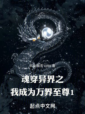 魂穿異界之我成為萬界至尊1