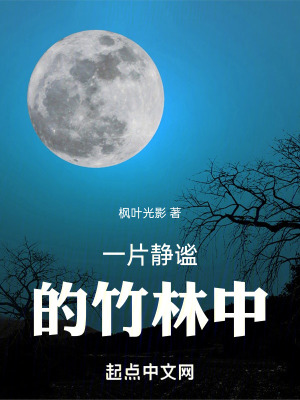 一片靜謐的竹林中