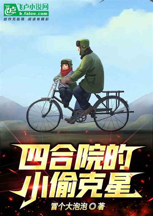 四合院的小偷克星