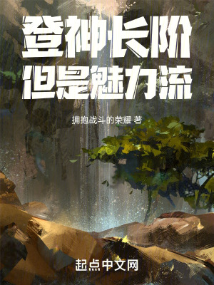 登神長階，但是魅力流