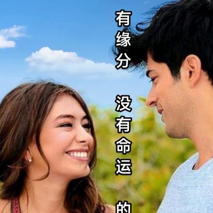 有緣分沒有命運的愛情