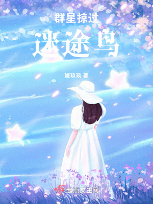 群星掠過迷途鳥