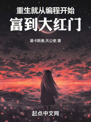 重生就從編程開始，富到大紅門！