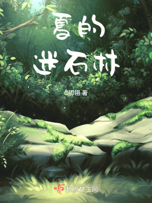 夏的迷石林