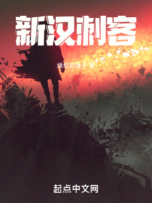 新漢刺客 新漢刺客