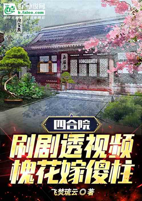 四合院：刷劇透視頻，槐花嫁傻柱