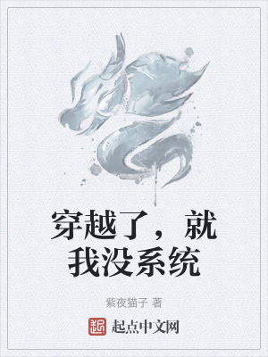 穿越了,就我沒係統 穿越了,就我沒係統