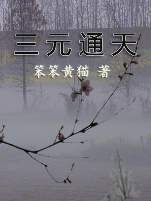 三元通天 三元通天