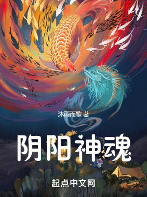 陰陽神魂 陰陽神魂