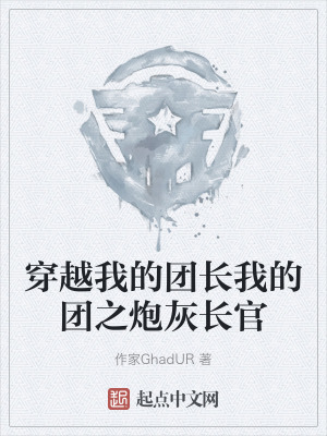 穿越我的團長我的團之炮灰長官