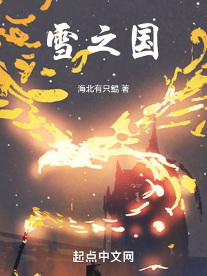 雪之國