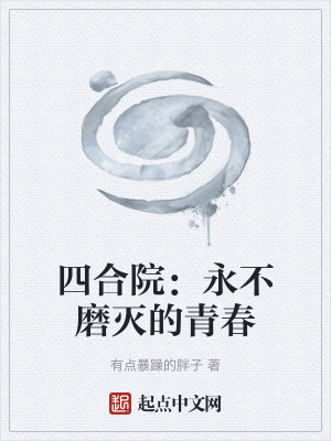 四合院：永不磨滅的青春