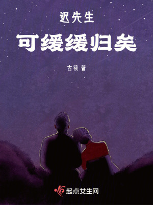 遲先生，可緩緩歸矣