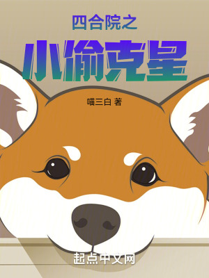 四合院之小偷克星 四合院之小偷克星