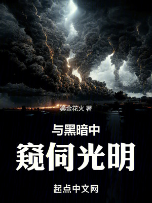 與黑暗中窺伺光明 與黑暗中窺伺光明