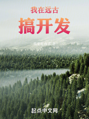 我在遠古搞開發
