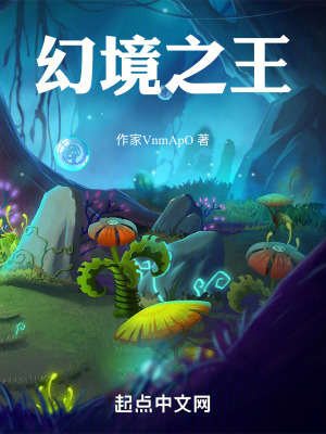 幻境之王