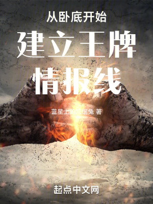 從臥底開始建立功勳情報網 從臥底開始建立功勳情報網