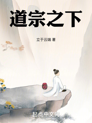 道宗之下