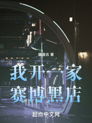 我開一家賽博黑店