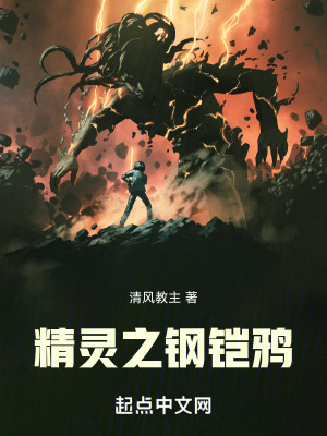 精靈之開局鋼鎧鴉