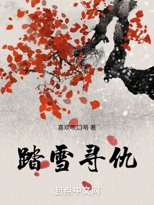 踏雪尋仇 踏雪尋仇