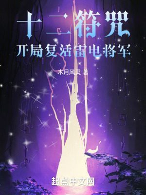 十二符咒:開局複活雷電將軍 十二符咒:開局複活雷電將軍
