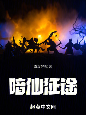暗仙征途 暗仙征途