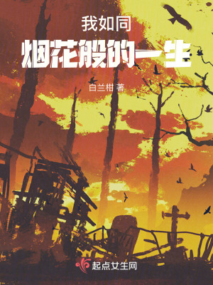 我如同煙花般的一生 我如同煙花般的一生