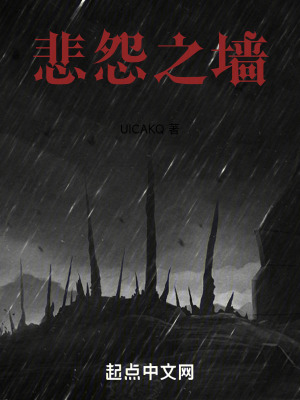 悲怨之牆 悲怨之牆