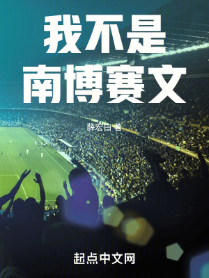 我不是南博賽文