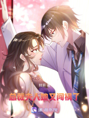 總裁,夫人她又闖禍了 總裁,夫人她又闖禍了