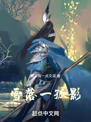 雪落一孤影 雪落一孤影