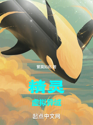 精靈：虛擬異域