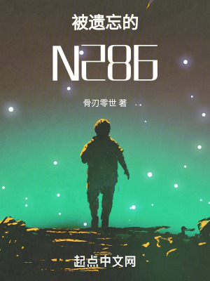 被遺忘的N286 被遺忘的N286