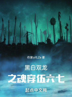 黑白雙龍之魂穿伍六七