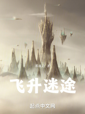 飛升迷途