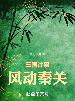 三國往事：風動秦關