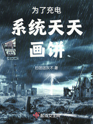 為了充電係統天天畫餅