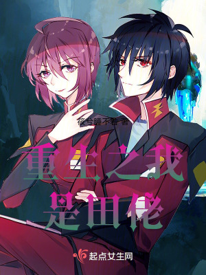 重生之我是田佬