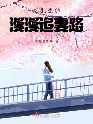 沈先生的漫漫追妻路