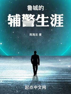 魯城的輔警生涯 魯城的輔警生涯