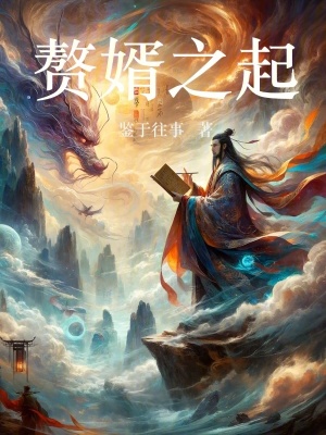 贅婿之起 贅婿之起