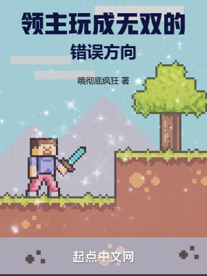 領主玩成無雙!的錯誤方向 領主玩成無雙!的錯誤方向