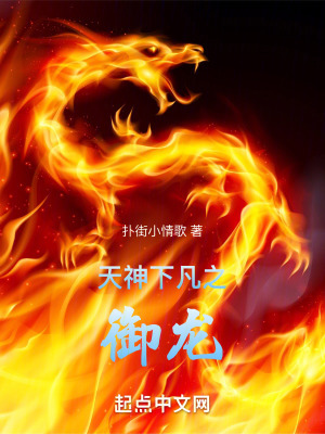 天神下凡之禦龍