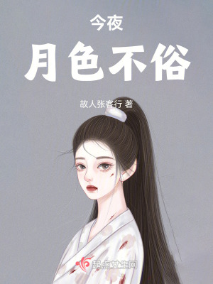 今夜月色不俗