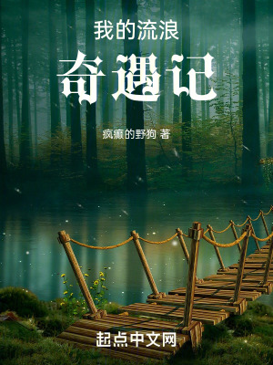 我的流浪奇遇記