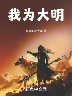 我為大明