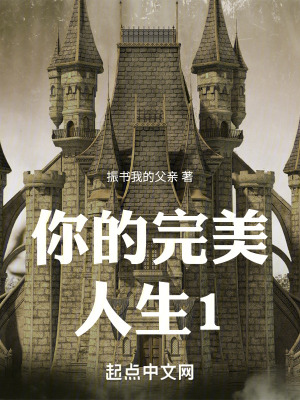 你的完美人生1