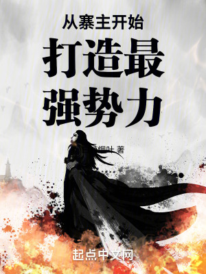 從寨主開始打造最強勢力